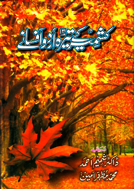 Kashmir ke 13 Urdu Afsane